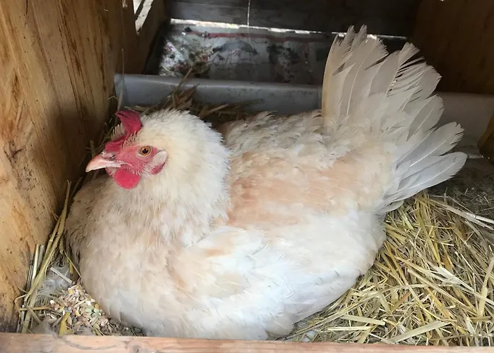 Le Verger D'aglae&michel カントリーハウス