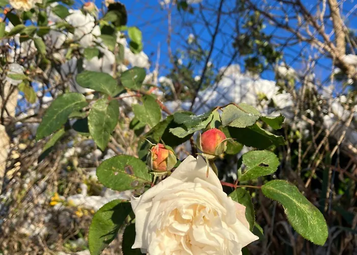 カントリーハウス Le Verger D'aglae&michel *