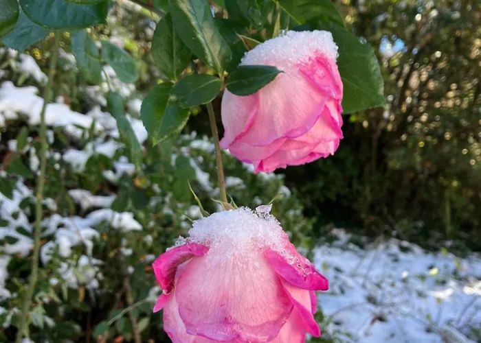 Le Verger D'aglae&michel カントリーハウス