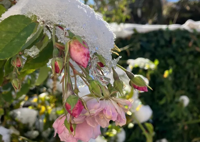 カントリーハウス Le Verger D'aglae&michel