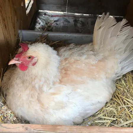 Le Verger D'aglae&michel Hétvégi ház