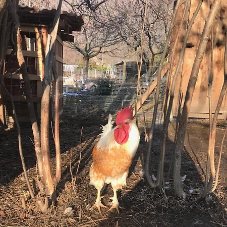 Le Verger D'aglae&michel Hétvégi ház