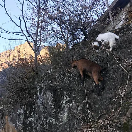 Le Verger D'aglaé&michel Séjour à la campagne