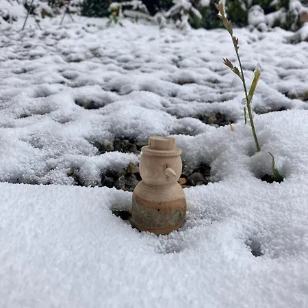 Le Verger D'aglaé&michel Séjour à la campagne Verdun (Ariege)
