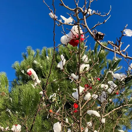 컨트리하우스 Le Verger D'aglae&michel *