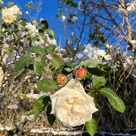 Séjour à la campagne Le Verger D'aglaé&michel *