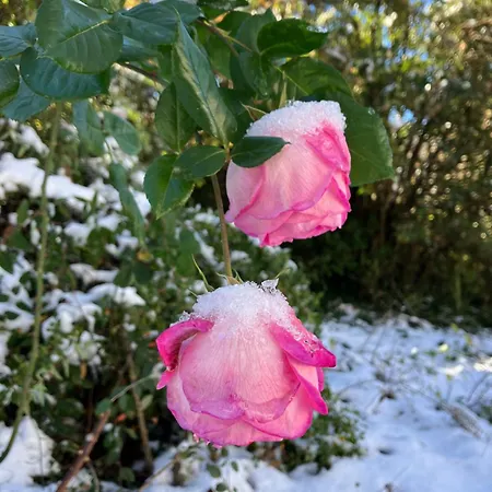 Le Verger D'aglae&michel 컨트리하우스