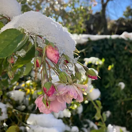 Séjour à la campagne Le Verger D'aglaé&michel